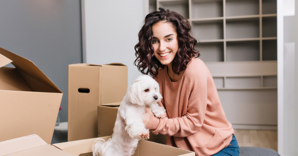 Top tips for renting with a pet Top tips for renting with a pet
