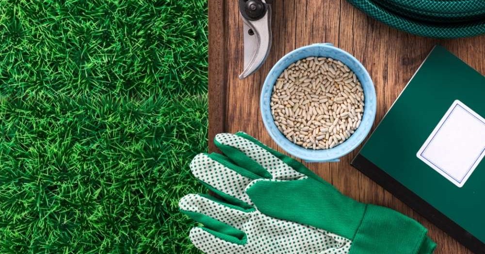 A landlord’s guide to garden maintenance for rented homes A landlord’s guide to garden maintenance for rented homes