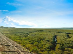 Images for The Promenade, Penclawdd, Swansea, West Glamorgan, SA4